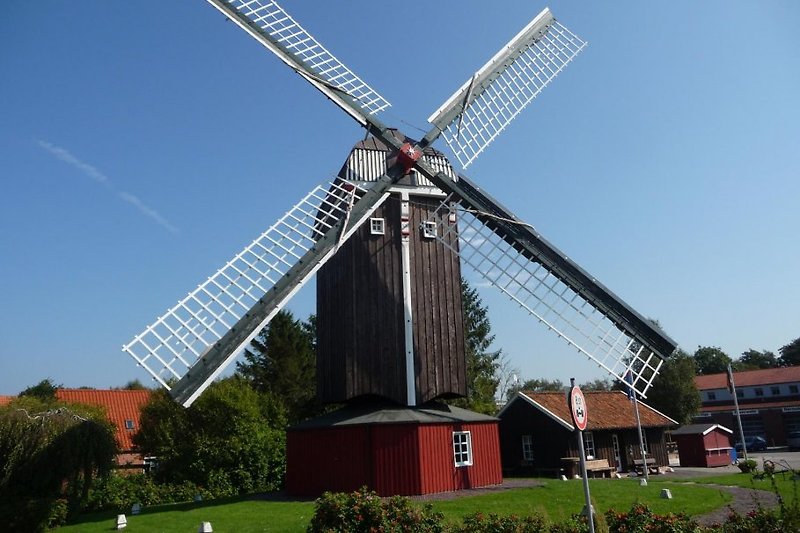 Moulin à vent Bock Dornum