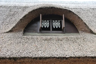 Ahoy - Nautilus - al lago Plaue