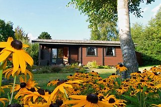 dieSeeSucht® - Lodge am Fjord