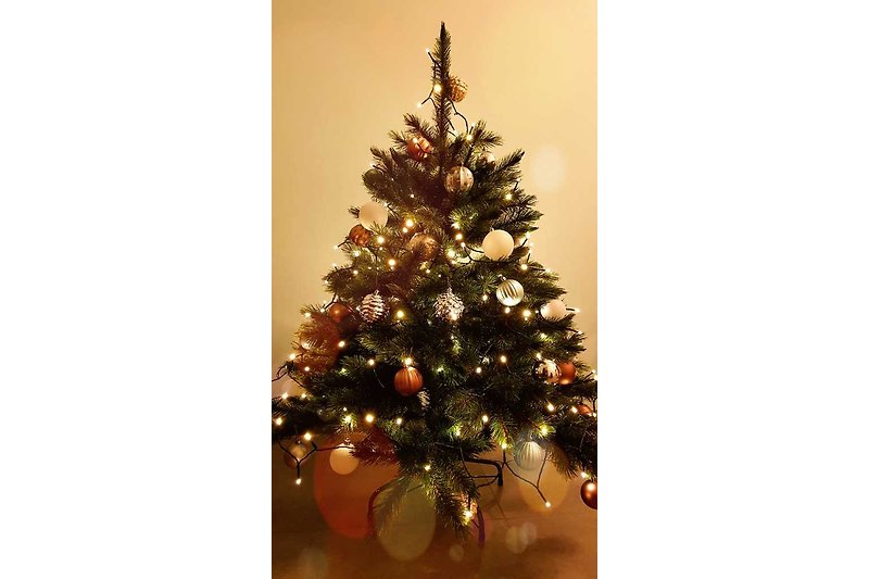 Weihnachten gibt es einen schön geschmückten Baum