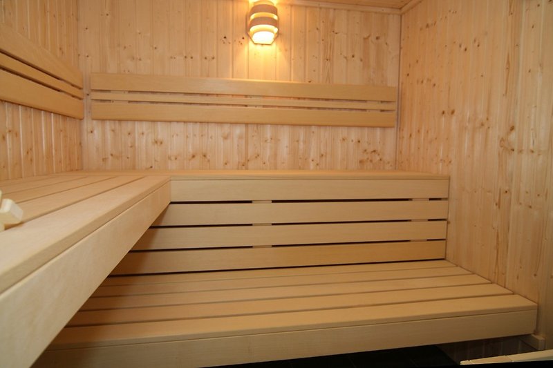 Großzügige Sauna