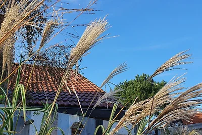 Villa Sonnendeck