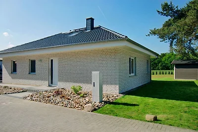 Gabbiano reale Karlshagen