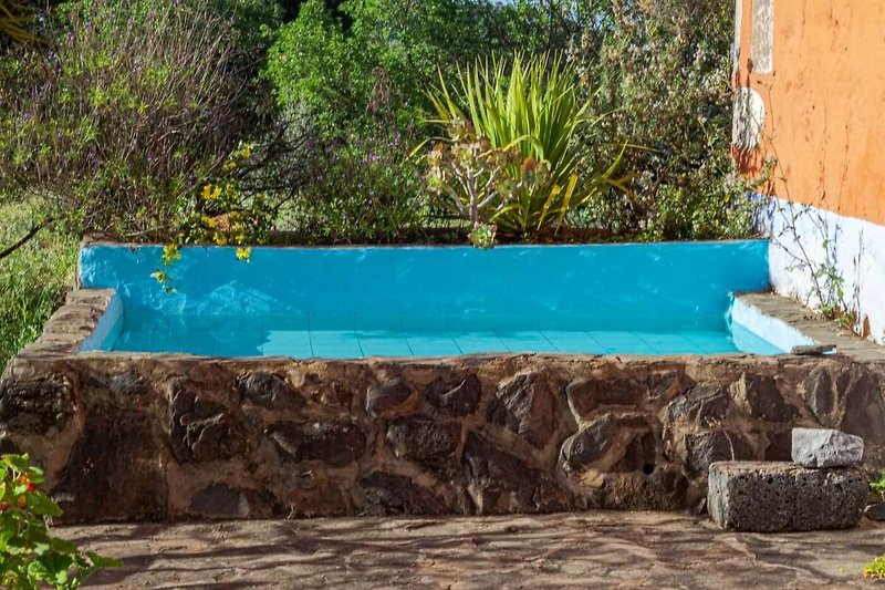 Hermoso paisaje con piscina rodeada de vegetación y camino de piedra. ¡Vacaciones perfectas!
