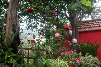 Domek letniskowy Casa Matos