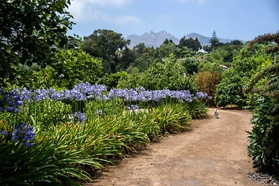 Villa La Marquesa