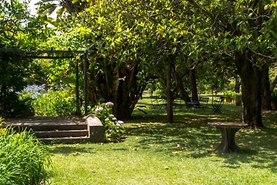 Villa La Marquesa