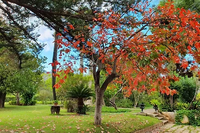 Villa La Marquesa