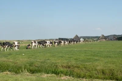 Camperhoeve De Dors