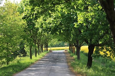 Ferienland-Zeulenrodaer-Meer