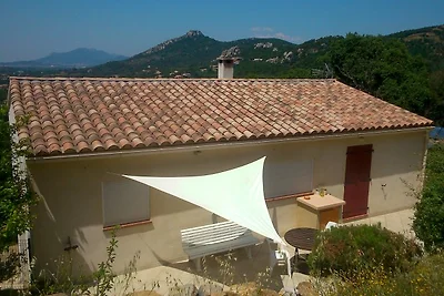 Ruhige Villa-Wohnung im Garten
