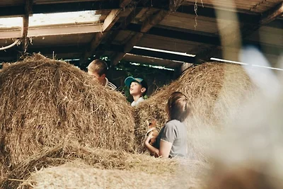 Nordseeferienhof  St. Peter-Ording