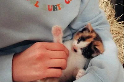 Nordseeferienhof  St. Peter-Ording