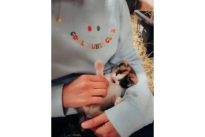 Nordseeferienhof  St. Peter-Ording