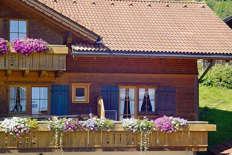 Vacation apartment in a wooden house