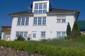 Rheinblick