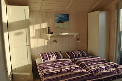 Nordseestern