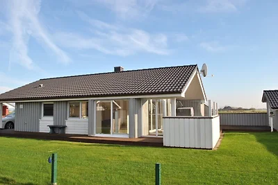 Nordseestern