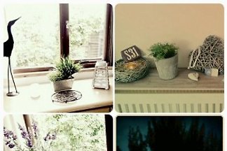 Chalet S31 am IJsselmeer