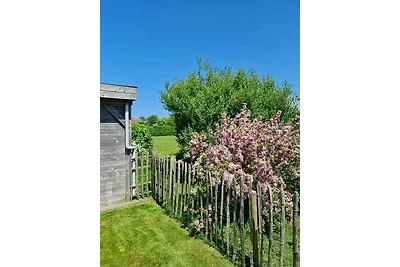 Ferienhaus Zandloper Dopheide 11