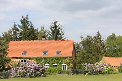 Ferienhaus Stille