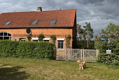 Ferienhaus Stille