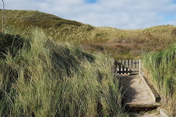 Ferienwohnung Callantsoog