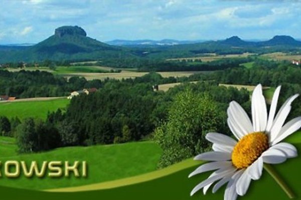 Frau R. Wieckowski Frau R. Wieckowski