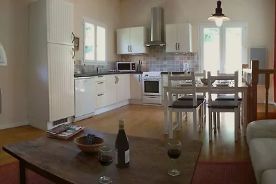 Modernes Ferienhaus, NEUER Pool