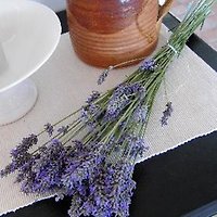 Herr D. Malenica Herr D. Malenica