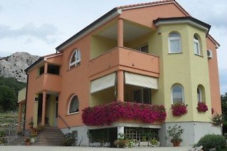 Apartmani Medved