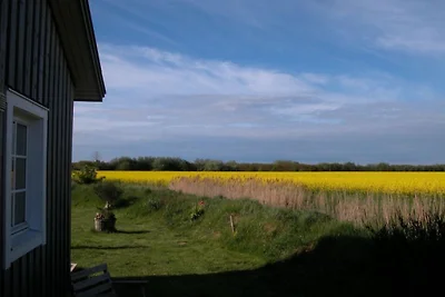 Arphus Stranddorf Augustenhof