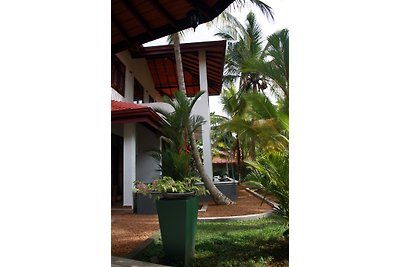 Aliya Lanka, Moragalla