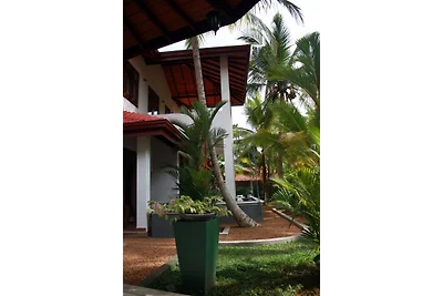 Aliya Lanka, Moragalla
