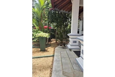 Aliya Lanka, Moragalla