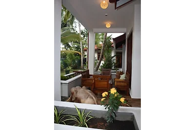 Aliya Lanka, Moragalla