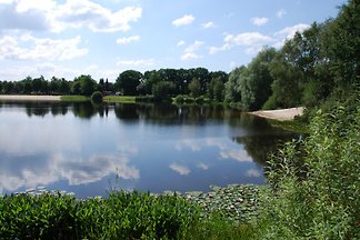Ferienhaus mit Seeblick