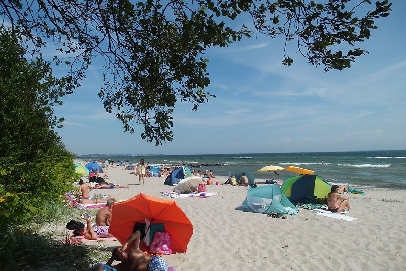 Strandurlaub mit blauem Himmel, türkisem Wasser und Sonnenschirmen.
