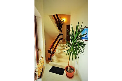 Apartmani Haidi