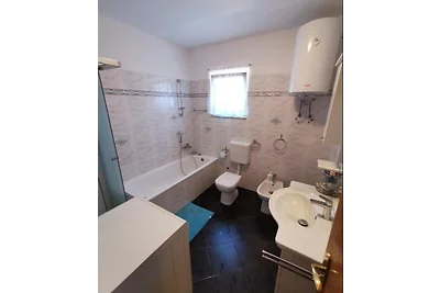 Ferienhaus mit Pool Loborika