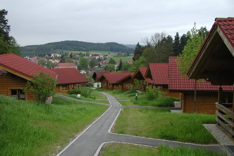 Blick in den Park