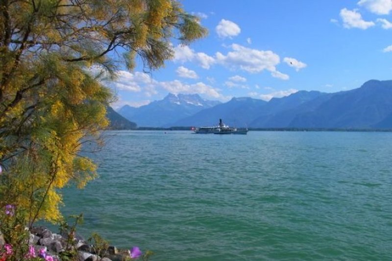 der Genfer See ist 30 Autominuten entfernt