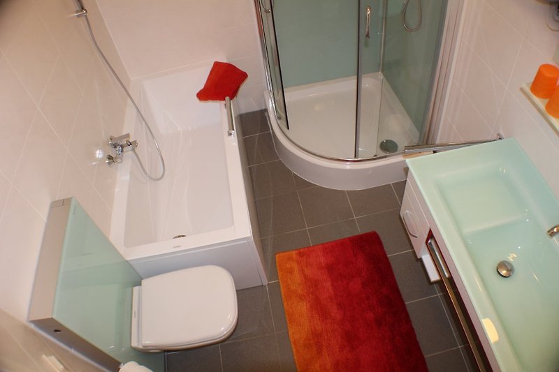 Salle de bain 2016 entièrement rénovée, douche à effet pluie