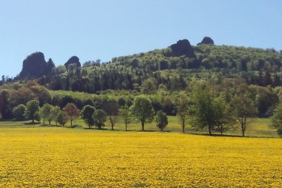 Ferienwohnung - PANORAMA II