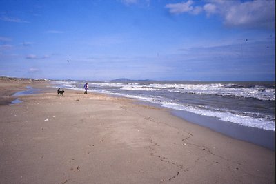 Tamaris, 300 m zum Meer