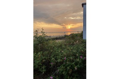 Ferienhaus direkt am Meer