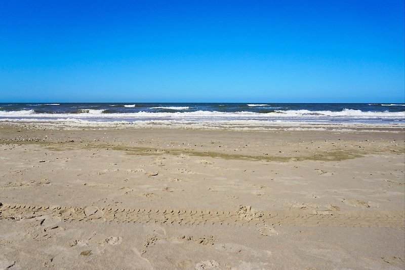 Der saubere Strand von Julianadorp