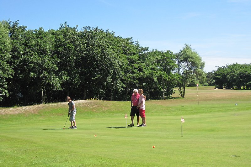 Eine malerische Golfanlage mit grünem Rasen und professionellen Spielern.