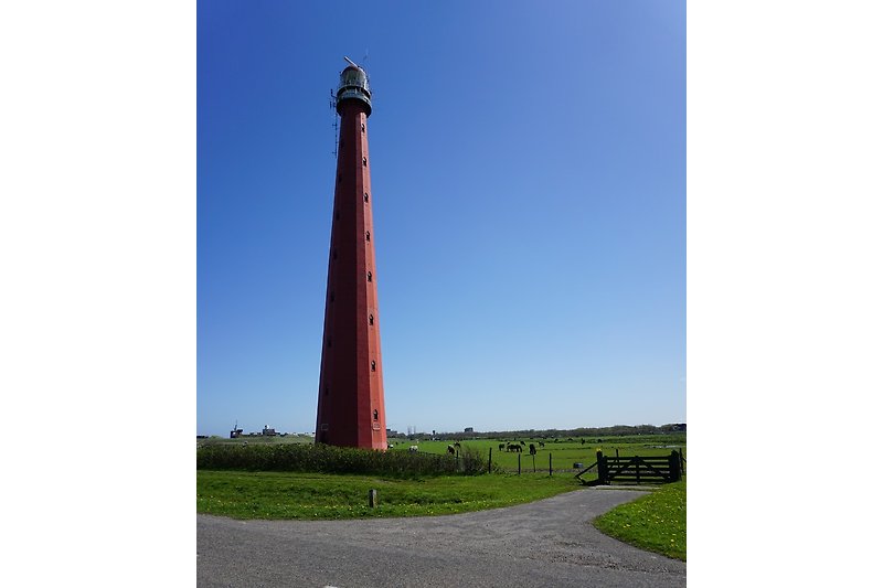      Der Leuchtturm in Huisduinen