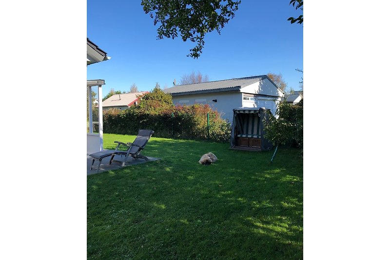 Ein großer und umzäunter Garten